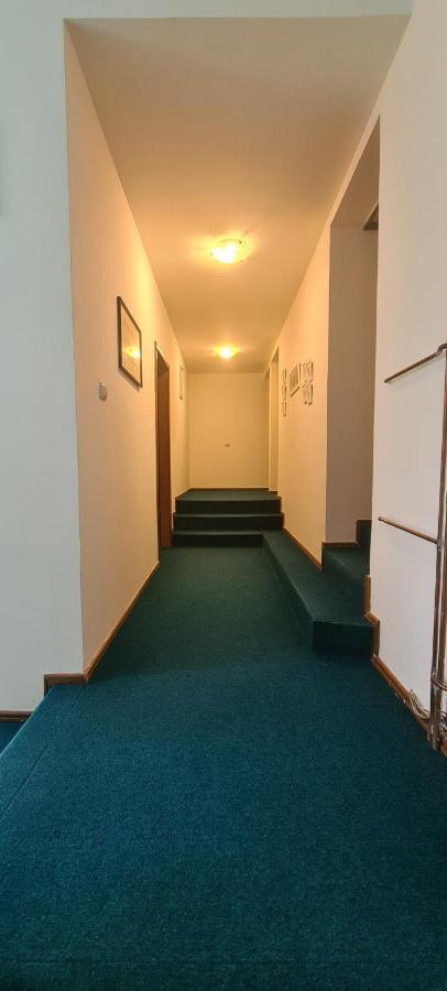 Guest House Tiha Noc Žabljak Exteriör bild